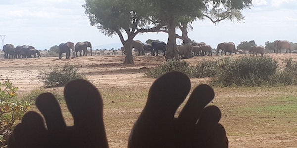 Kenia | Familie reizen | Safari en Strand | Reiservaring reiziger - juli 2019 | OnsKenia Kenia | Familie reizen | Safari en Strand | Reiservaring reiziger - juli 2019 | OnsKenia