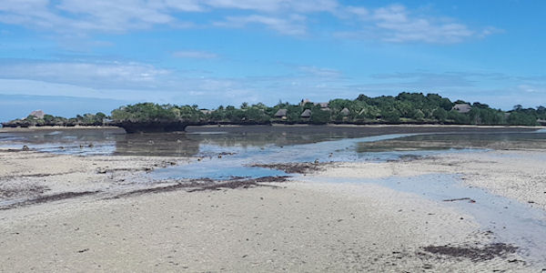 Kenia | Familie reizen | Safari en Strand | Reiservaring reiziger - juli 2019 | OnsKenia Kenia | Familie reizen | Safari en Strand | Reiservaring reiziger - juli 2019 | OnsKenia