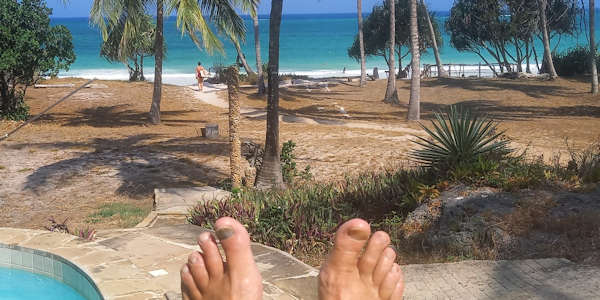 Kenia | Prive safari reizen | Safari en Strand | Diani Beach overnachting in Diani House - februari 2023 | OnsKenia Kenia | Prive safari reizen | Safari en Strand | Diani Beach overnachting in Diani House - februari 2023 | OnsKenia