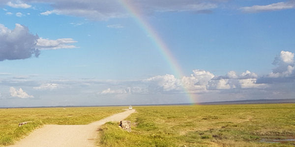 Kenia | Familie reizen | Prive safari reizen | Safari en Strand | Regenboog in Amboseli nationaal park - februari 2019 | OnsKenia Kenia | Familie reizen | Prive safari reizen | Safari en Strand | Regenboog in Amboseli nationaal park - februari 2019 | OnsKenia