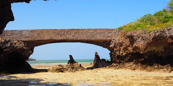Kenia | Familie reizen | Prive safari reizen | Safari en Strand | Chale eiland bij laag water - februari 2019 | OnsKenia Kenia | Familie reizen | Prive safari reizen | Safari en Strand | Chale eiland bij laag water - februari 2019 | OnsKenia