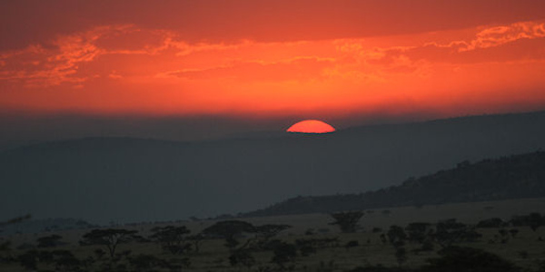 Tanzania | Familie reizen | Prive safari reizen | Reiservaring reiziger - februari 2016 | OnsKenia Tanzania | Familie reizen | Prive safari reizen | Reiservaring reiziger - februari 2016 | OnsKenia