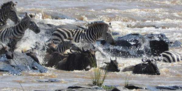 Kenia | Familie reizen | Safari en Strand | Reiservaring reiziger - augustus 2017 | OnsKenia Kenia | Familie reizen | Safari en Strand | Reiservaring reiziger - augustus 2017 | OnsKenia