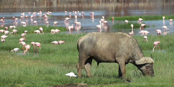 Kenia | Prive safari reizen |  Reiservaring reiziger - september 2014 | OnsKenia