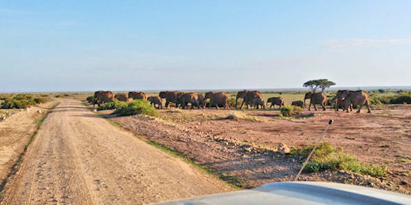 Kenia | Prive safari reizen | Safari en Strand | Reiservaring reiziger - mei 2017 | OnsKenia Kenia | Prive safari reizen | Safari en Strand | Reiservaring reiziger - mei 2017 | OnsKenia