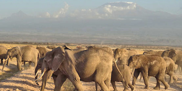 Kenia | Mindervalide reizen | Prive safari reizen | Reiservaring reiziger - augustus 2018 | OnsKenia Kenia | Mindervalide reizen | Prive safari reizen | Reiservaring reiziger - augustus 2018 | OnsKenia