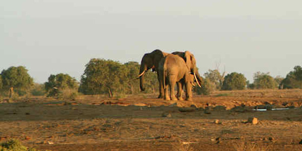 Kenia | Prive safari reizen | Reiservaring reiziger - november 2012 | OnsKenia Kenia | Prive safari reizen | Reiservaring reiziger - november 2012 | OnsKenia