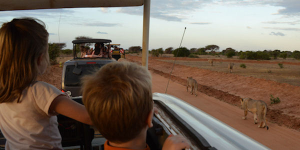 Kenia | Familie reizen | Safari en Strand | Reiservaring reiziger - juli 2019 | OnsKenia Kenia | Familie reizen | Safari en Strand | Reiservaring reiziger - juli 2019 | OnsKenia
