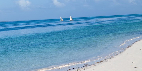 Tanzania | Combinatie reizen | Luxe reizen | Zanzibar strand Kono Kono Beach Resort - januari 2020 | OnsKenia Tanzania | Combinatie reizen | Luxe reizen | Zanzibar strand Kono Kono Beach Resort - januari 2020 | OnsKenia
