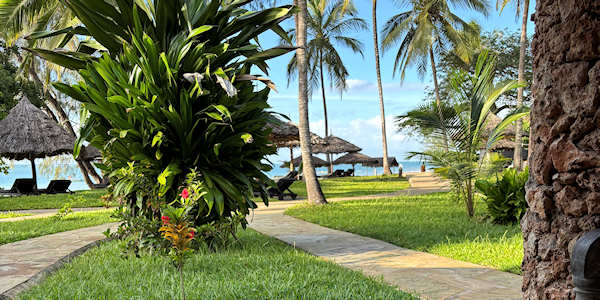 Kenia | Prive safari reizen | Safari en Strand | Eleven Pearl Boutique Resort - Diani Beach - mei 2025 | OnsKenia Kenia | Prive safari reizen | Safari en Strand | Eleven Pearl Boutique Resort - Diani Beach - mei 2025 | OnsKenia