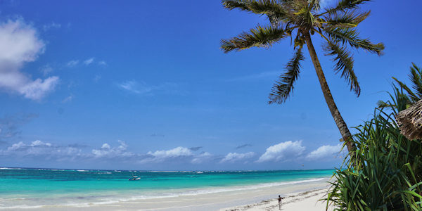 Kenia | Familie reizen | Prive safari reizen | Safari en Strand | Diani Beach strand - augustus 2022 | OnsKenia Kenia | Familie reizen | Prive safari reizen | Safari en Strand | Diani Beach strand - augustus 2022 | OnsKenia