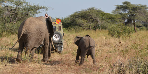 Kenia | Familie reizen | Safari en Strand | Reiservaring reiziger - juli 2018 | OnsKenia Kenia | Familie reizen | Safari en Strand | Reiservaring reiziger - juli 2018 | OnsKenia