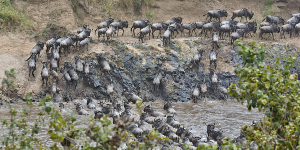 Kenia | Familie reizen | Safari en Strand | Reiservaring reiziger - juli 2018 | OnsKenia Kenia | Familie reizen | Safari en Strand | Reiservaring reiziger - juli 2018 | OnsKenia