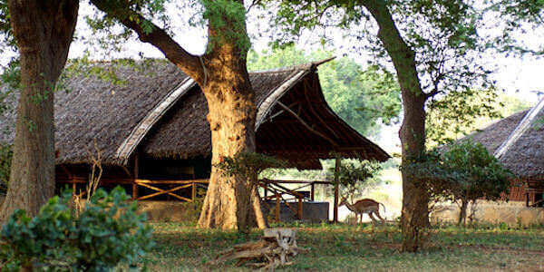 Kenia | Prive safari reizen | Safari en Strand | Satao Camp in Tsavo Oost - februari 2019 | OnsKenia Kenia | Prive safari reizen | Safari en Strand | Satao Camp in Tsavo Oost - februari 2019 | OnsKenia