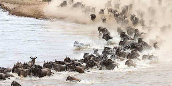 Kenia | Familie reizen | Prive safari reizen | Safari en Strand | Reiservaring reiziger - juli 2013 | OnsKenia Kenia | Familie reizen | Prive safari reizen | Safari en Strand | Reiservaring reiziger - juli 2013 | OnsKenia