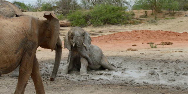 Kenia | Prive safari reizen |  Reiservaring reiziger - oktober 2014 | OnsKenia