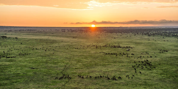 Tanzania | Prive safari reizen | Reiservaring reiziger - augustus 2017 | OnsKenia Tanzania | Prive safari reizen | Reiservaring reiziger - augustus 2017 | OnsKenia
