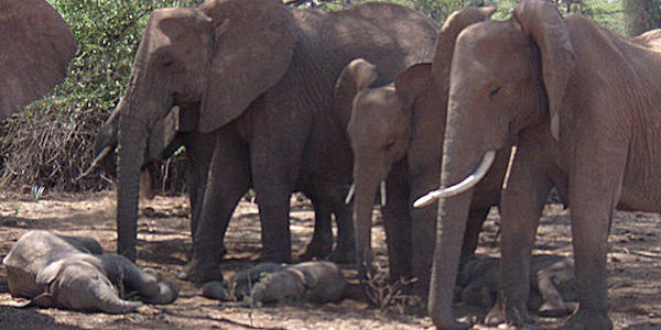 Kenia | Prive safari reizen |  Reiservaring reiziger - september 2014 | OnsKenia