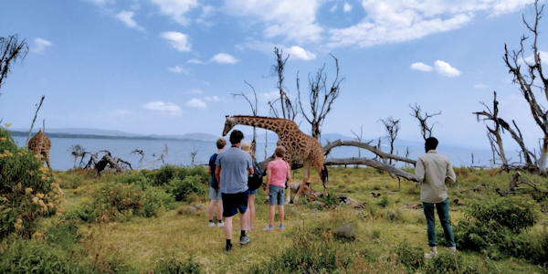 Kenia | Familie reizen | Safari en Strand | Crescent eiland begeleide wandeling - juli 2023 | OnsKenia Kenia | Familie reizen | Safari en Strand | Crescent eiland begeleide wandeling - juli 2023 | OnsKenia