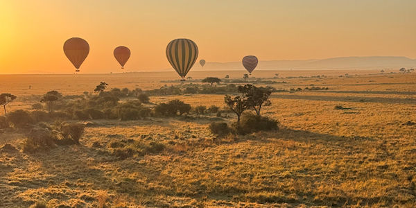 Kenia | Prive safari reizen | Zonsopkomst Masai Mara - augustus 2025 | OnsKenia Kenia | Prive safari reizen | Zonsopkomst Masai Mara - augustus 2025 | OnsKenia