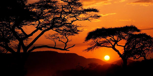 Kenia | Tanzania | Combinatie reizen | Prive safari reizen | Zonsondergang Serengeti | Tanzania - juli 2018 | OnsKenia Kenia | Tanzania | Combinatie reizen | Prive safari reizen | Zonsondergang Serengeti | Tanzania - juli 2018 | OnsKenia