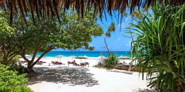 Kenia | Prive safari reizen | Safari en Strand | Chale eiland strand aan de Indische oceaan - juli 2023 | OnsKenia Kenia | Prive safari reizen | Safari en Strand | Chale eiland strand aan de Indische oceaan - juli 2023 | OnsKenia