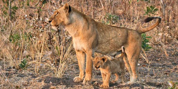 Kenia | Prive safari reizen | Reiservaring reiziger - september 2017 | OnsKenia Kenia | Prive safari reizen | Reiservaring reiziger - september 2017 | OnsKenia