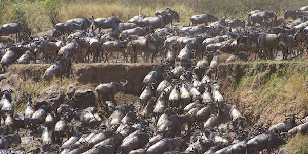 Kenia | Oeganda | Combinatie reizen | Prive safari reizen | Reiservaring reiziger - september 2015 | OnsKenia Kenia | Oeganda | Combinatie reizen | Prive safari reizen | Reiservaring reiziger - september 2015 | OnsKenia