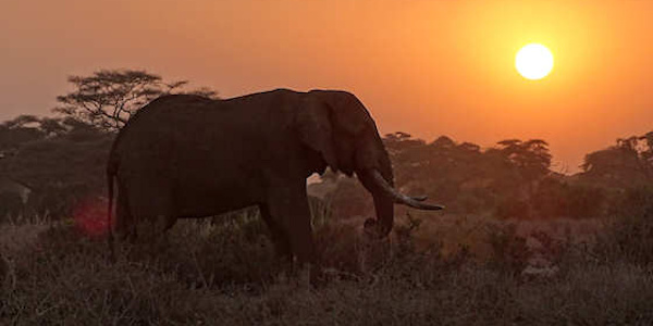 Kenia | Oeganda | Combinatie reizen | Prive safari reizen | Reiservaring reiziger - september 2015 | OnsKenia Kenia | Oeganda | Combinatie reizen | Prive safari reizen | Reiservaring reiziger - september 2015 | OnsKenia