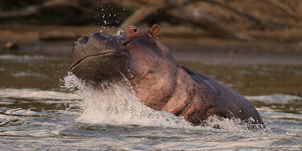 Kenia | Familie reizen | Prive safari reizen | Reiservaring reiziger - december 2016 | OnsKenia Kenia | Familie reizen | Prive safari reizen | Reiservaring reiziger - december 2016 | OnsKenia