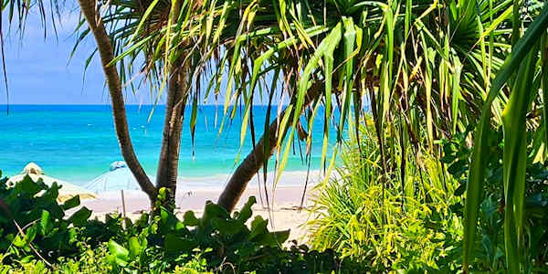 Kenia | Prive safari reizen | Safari en Strand | Chale Island banda ocean view, Zuidkust Kenia - september 2025 | OnsKenia Kenia | Prive safari reizen | Safari en Strand | Chale Island banda ocean view, Zuidkust Kenia - september 2025 | OnsKenia