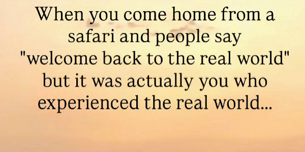 Real safari experience Real safari experience