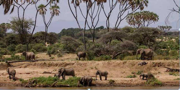 Kenia | Huwelijksreizen | Prive safari reizen | Safari en Strand | Reiservaring reiziger - januari 2015 | OnsKenia Kenia | Huwelijksreizen | Prive safari reizen | Safari en Strand | Reiservaring reiziger - januari 2015 | OnsKenia