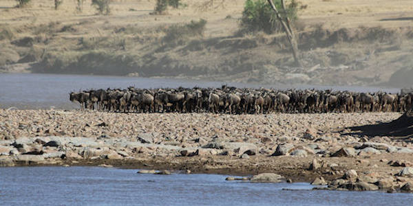 Tanzania | Prive safari reizen | Reiservaring reiziger - september 2016 | OnsKenia Tanzania | Prive safari reizen | Reiservaring reiziger - september 2016 | OnsKenia