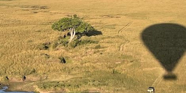 Kenia | Luxe reizen | Ballonvlucht over de Masai Mara - februari 2023 | OnsKenia Kenia | Luxe reizen | Ballonvlucht over de Masai Mara - februari 2023 | OnsKenia