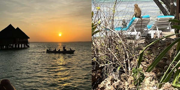 Kenia | Luxe reizen | Strandvakantie op Chale Island voor de kust van Kenia - februari 2023 | OnsKenia Kenia | Luxe reizen | Strandvakantie op Chale Island voor de kust van Kenia - februari 2023 | OnsKenia