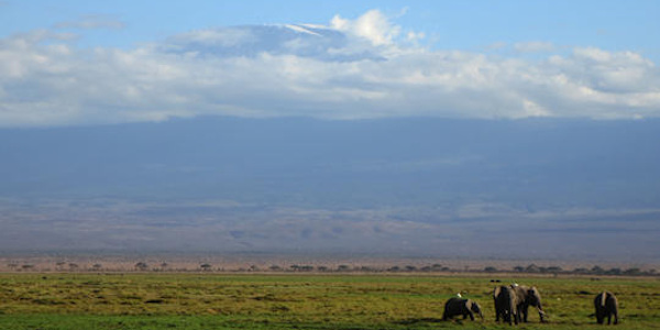 Kenia | Prive safari reizen |  Reiservaring reiziger - oktober 2014 | OnsKenia