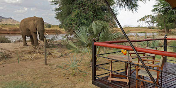 Kenia | Tanzania | Huwelijksreizen | Prive safari reizen | Reiservaring reiziger - september 2015 | OnsKenia Kenia | Tanzania | Huwelijksreizen | Prive safari reizen | Reiservaring reiziger - september 2015 | OnsKenia