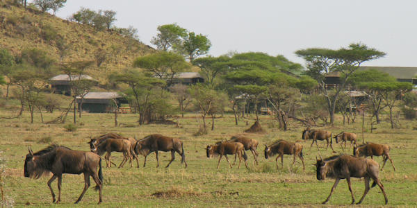 Kenia | Tanzania | Huwelijksreizen | Prive safari reizen | Reiservaring reiziger - september 2015 | OnsKenia Kenia | Tanzania | Huwelijksreizen | Prive safari reizen | Reiservaring reiziger - september 2015 | OnsKenia