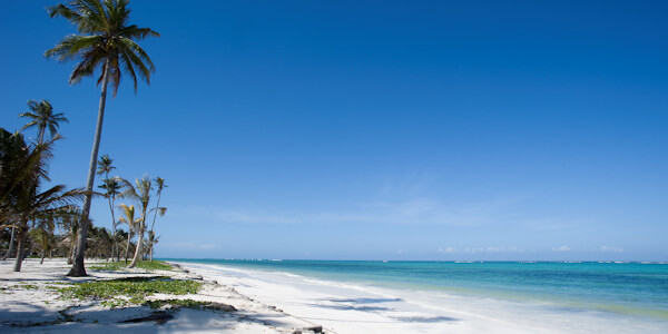 Tanzania | Prive safari reizen | Safari en Strand | Reiservaring reiziger - augustus 2014 | OnsKenia Tanzania | Prive safari reizen | Safari en Strand | Reiservaring reiziger - augustus 2014 | OnsKenia