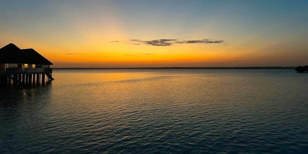 Kenia | Familie reizen | Prive safari reizen | Safari en Strand | Sunset Chale Island - september 2023 | OnsKenia Kenia | Familie reizen | Prive safari reizen | Safari en Strand | Sunset Chale Island - september 2023 | OnsKenia