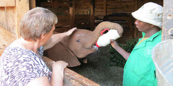 Kenia | Prive safari reizen | Reiservaring reiziger - juli 2012 | OnsKenia Kenia | Prive safari reizen | Reiservaring reiziger - juli 2012 | OnsKenia