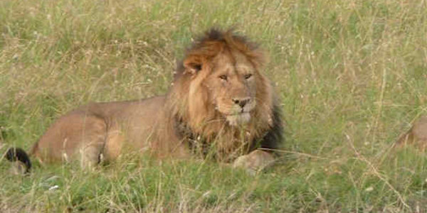 Kenia | Prive safari reizen | Reiservaring reiziger - juli 2012 | OnsKenia Kenia | Prive safari reizen | Reiservaring reiziger - juli 2012 | OnsKenia
