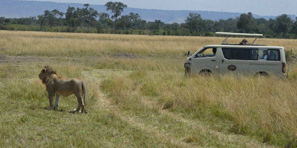 Kenia | Prive safari reizen | Reiservaring reiziger - juli 2017 | OnsKenia Kenia | Prive safari reizen | Reiservaring reiziger - juli 2017 | OnsKenia