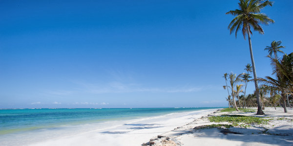 Tanzania | Prive safari reizen | Safari en Strand | Zanzibar Kwende strand - december 2022 | OnsKenia Tanzania | Prive safari reizen | Safari en Strand | Zanzibar Kwende strand - december 2022 | OnsKenia