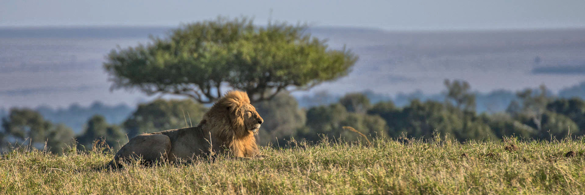 Highlights Tanzania 7-daagse prive safari rondreis Tanzania Highlights Tanzania 7-daagse prive safari rondreis Tanzania