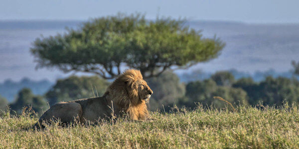 Prive safari reizen door Rondreis Tanzania
