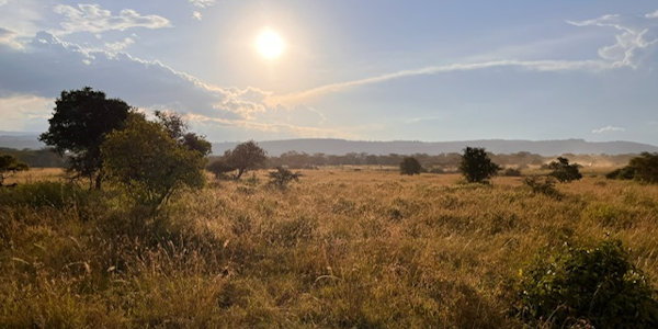 Kenia - Landen - Prive safari reizen - Safari en Strand - Reiservaring Tom, Wendy en Rune Kenia - Landen - Prive safari reizen - Safari en Strand - Reiservaring Tom, Wendy en Rune