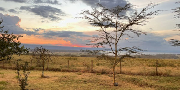 Kenia | Prive safari reizen | Safari en Strand | Reiservaring reiziger - juli 2024 | OnsKenia Kenia | Prive safari reizen | Safari en Strand | Reiservaring reiziger - juli 2024 | OnsKenia