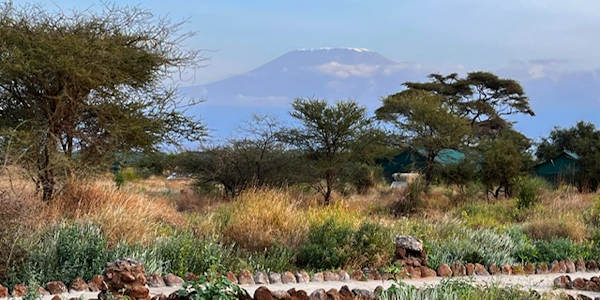Kenia | Prive safari reizen | Safari en Strand | Reiservaring reiziger - juli 2024 | OnsKenia Kenia | Prive safari reizen | Safari en Strand | Reiservaring reiziger - juli 2024 | OnsKenia